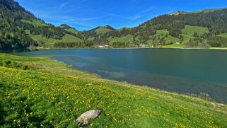 Schwarzsee 1045 m Rando 2022