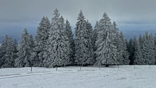 Le Chasseron Rando 2023