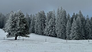 Le Chasseron Rando 2023