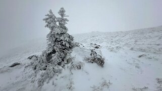 Le Chasseron Rando 2023