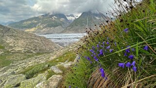 Glacier d'Aletsch Rando 2025