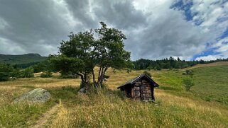 Bellwald - Goms Rando 2025