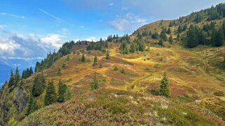 Im obristen Wandel Rando 2025