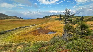 Chaltenbrunnen Rando 2025