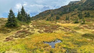 Chaltenbrunnen Rando 2025
