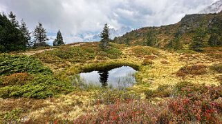 Chaltenbrunnen Rando 2025