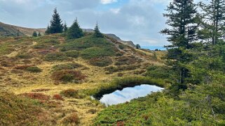 Chaltenbrunnen Rando 2025
