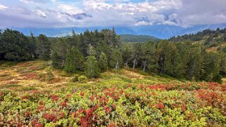 Chaltenbrunnen Rando 2025