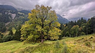 Undre Stafel Rando 2025