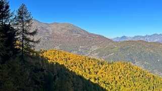 Gspon - Visperterminen Rando 2025