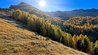 Gspon - Visperterminen Rando 2025