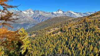 Gspon - Visperterminen Rando 2025