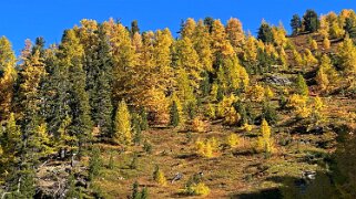 Gspon - Visperterminen Rando 2025