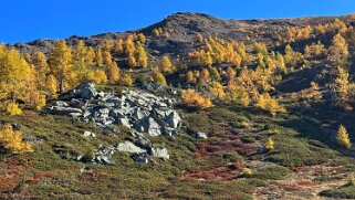 Gspon - Visperterminen Rando 2025