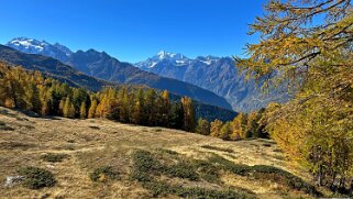 Gspon - Visperterminen Rando 2025