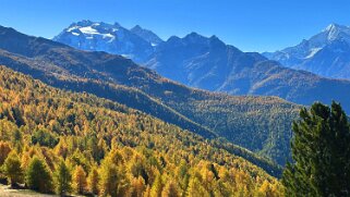 Gspon - Visperterminen Rando 2025