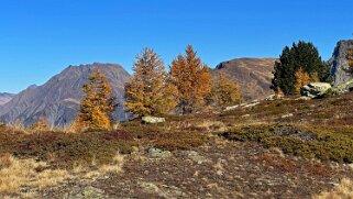 Gspon - Visperterminen Rando 2025