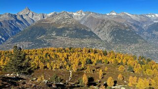 Gspon - Visperterminen Rando 2025