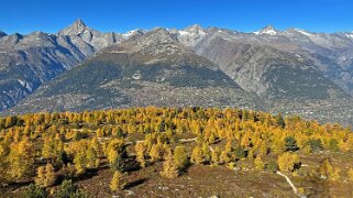 Gspon - Visperterminen Rando 2025