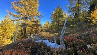 Gspon - Visperterminen Rando 2025