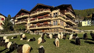 Visperterminen Rando 2025