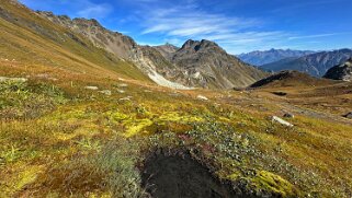 Vallée du Grand Saint-Bernard Rando 2025