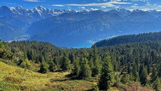 Chüematte Rando 2025