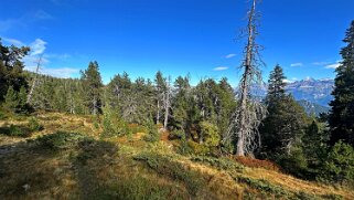 Chüematte Rando 2025