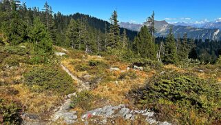 Chüematte Rando 2025