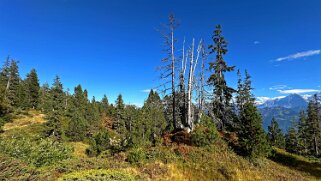 Chüematte Rando 2025