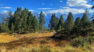 Chüematte Rando 2025