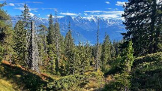 Chüematte Rando 2025