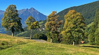 Beatenberg Rando 2025