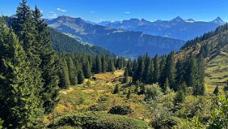 Gemmenalp Rando 2025