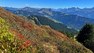 Gemmenalp Rando 2025