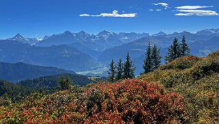 Gemmenalp Rando 2025