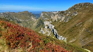 Güggigrat Rando 2025