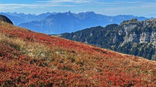 Güggigrat Rando 2025