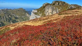 Güggigrat Rando 2025