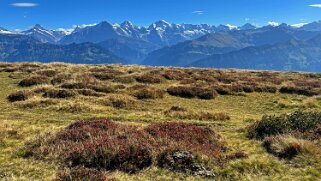 Güggigrat Rando 2025