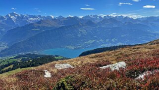 Güggigrat Rando 2025