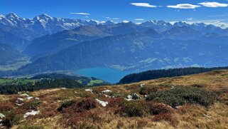 Güggigrat Rando 2025