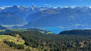 Güggigrat Rando 2025