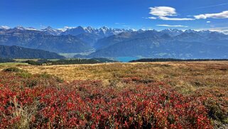 Güggigrat Rando 2025