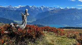 Güggigrat Rando 2025