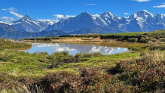 Güggigrat Rando 2025