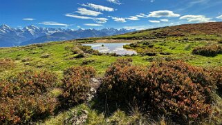 Güggigrat Rando 2025