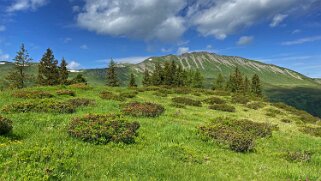 Col du Pillon - Feutersoey 2020