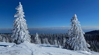 Col du Marchairuz - Grand Cunay 2021