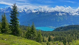 Beatenberg - Niederhorn 2021